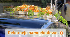 Dekoracje samochodowe